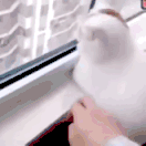 roulette simulator Pada awalnya, giginya menggores ringan pada kucing putih
